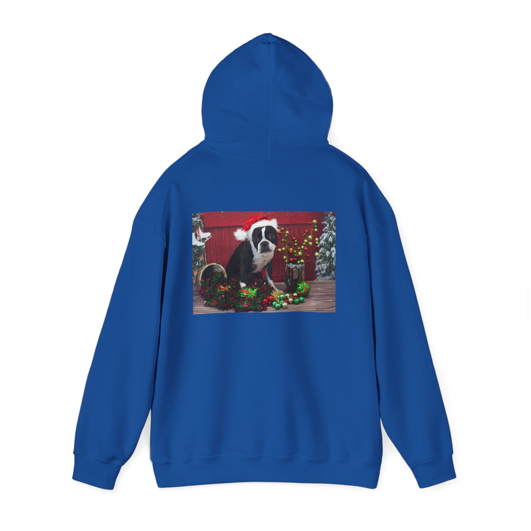 Personalized Photo Hoodie — Custom Front & Back Picture Sweatshirt