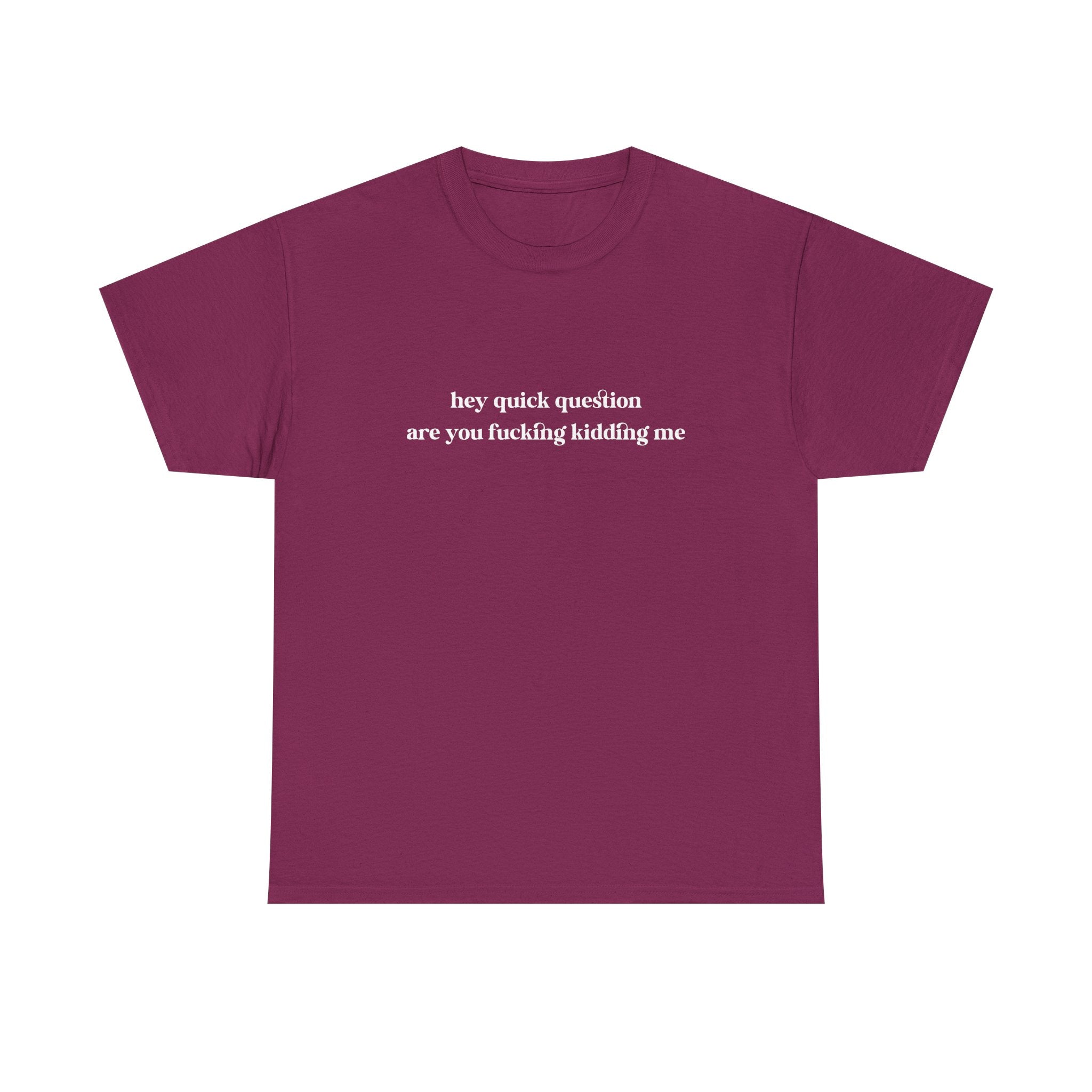 Funny Graphic Tee — “hey quick question are you fucking kidding me” Slogan T‑Shirt