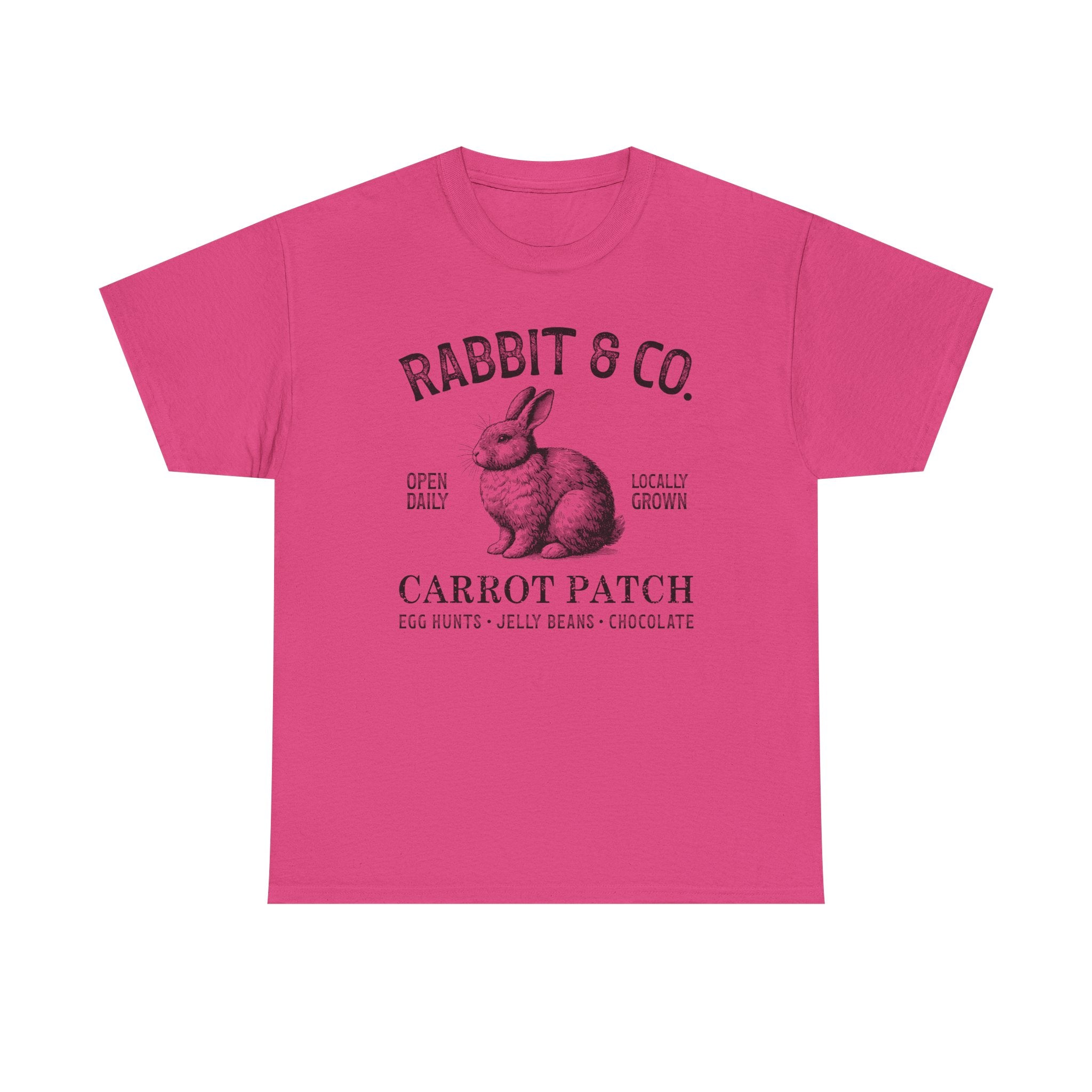Rabbit & Co. Carrot Patch T-Shirt — Vintage Easter Bunny Graphic