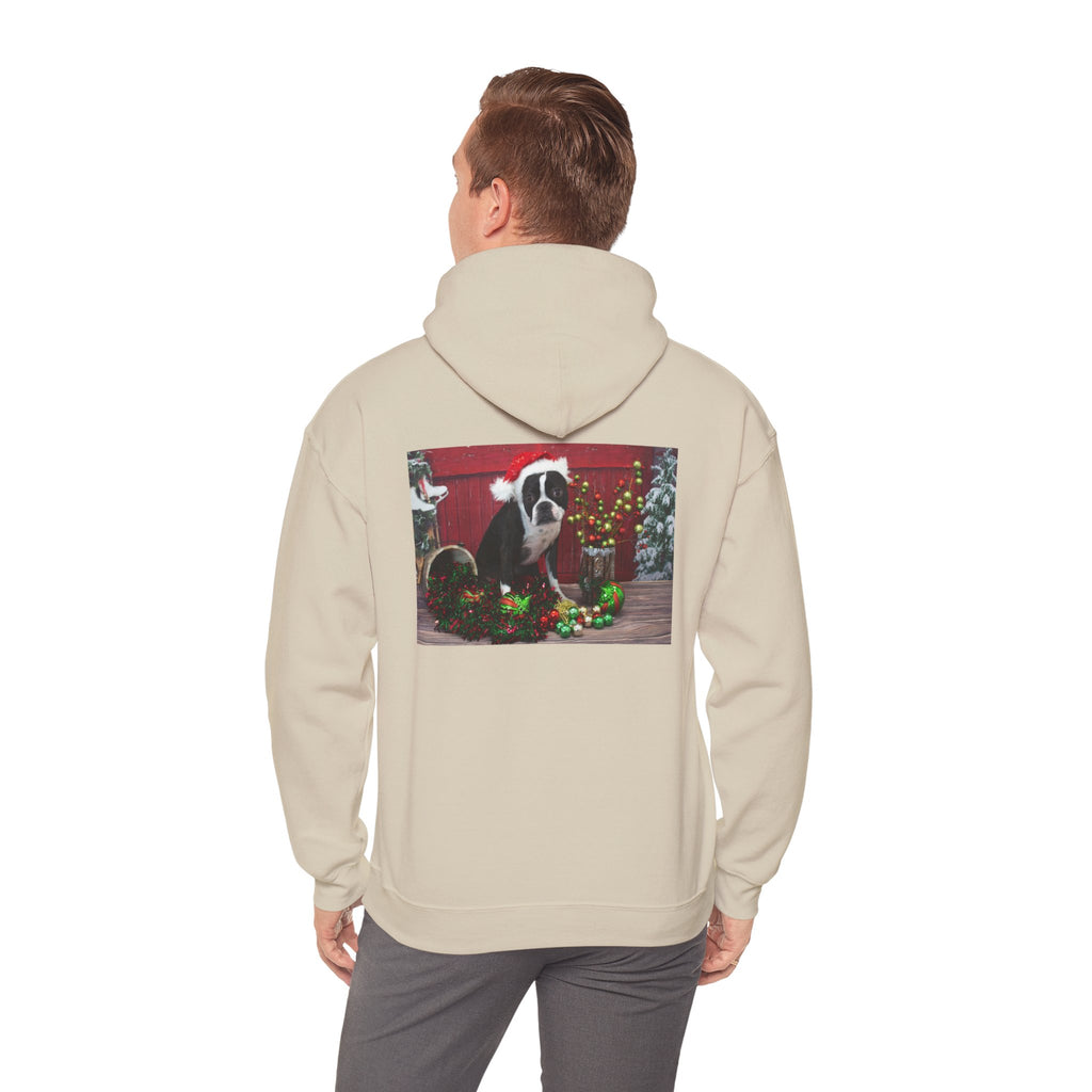 Personalized Photo Hoodie — Custom Front & Back Picture Sweatshirt