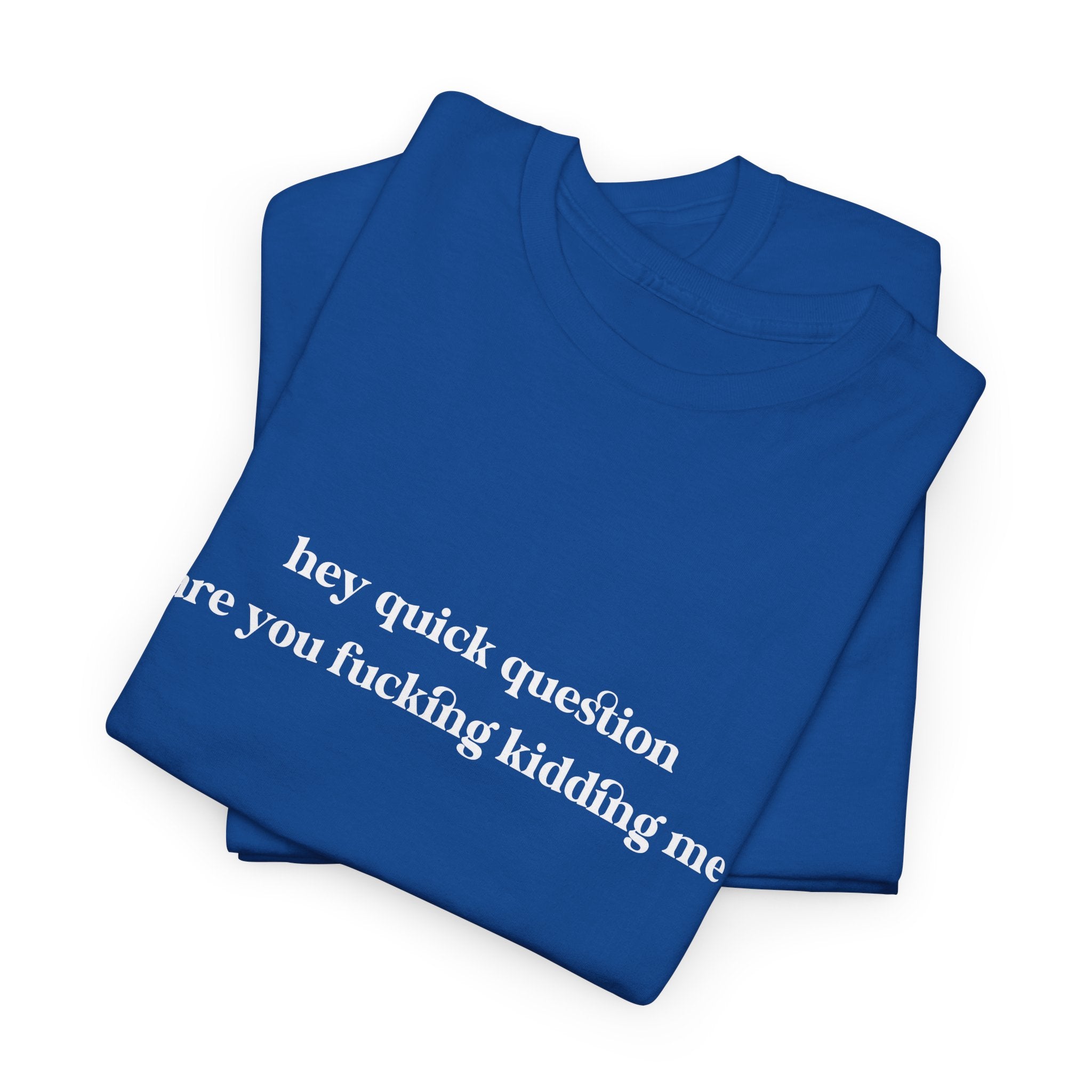 Funny Graphic Tee — “hey quick question are you fucking kidding me” Slogan T‑Shirt