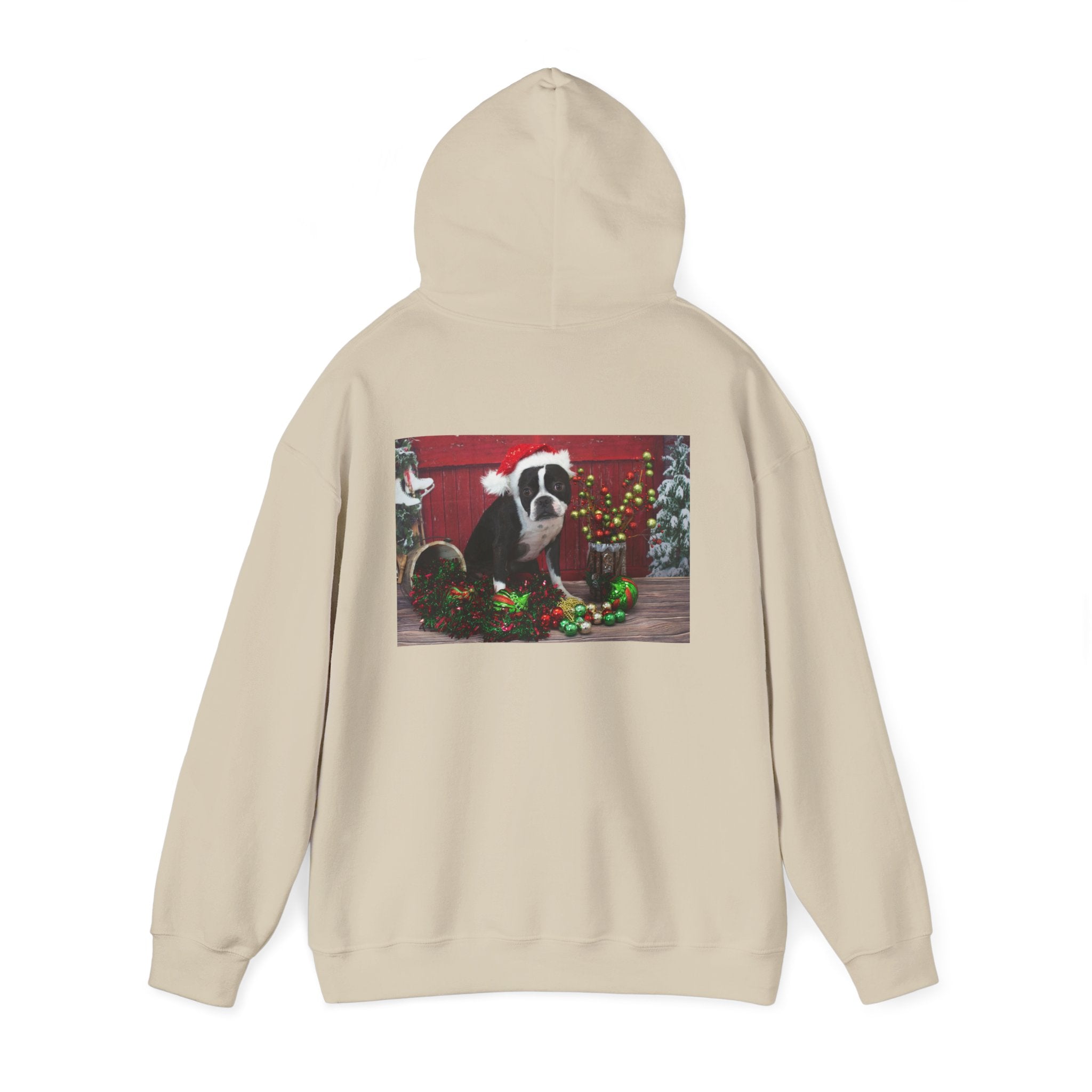 Personalized Photo Hoodie — Custom Front & Back Picture Sweatshirt