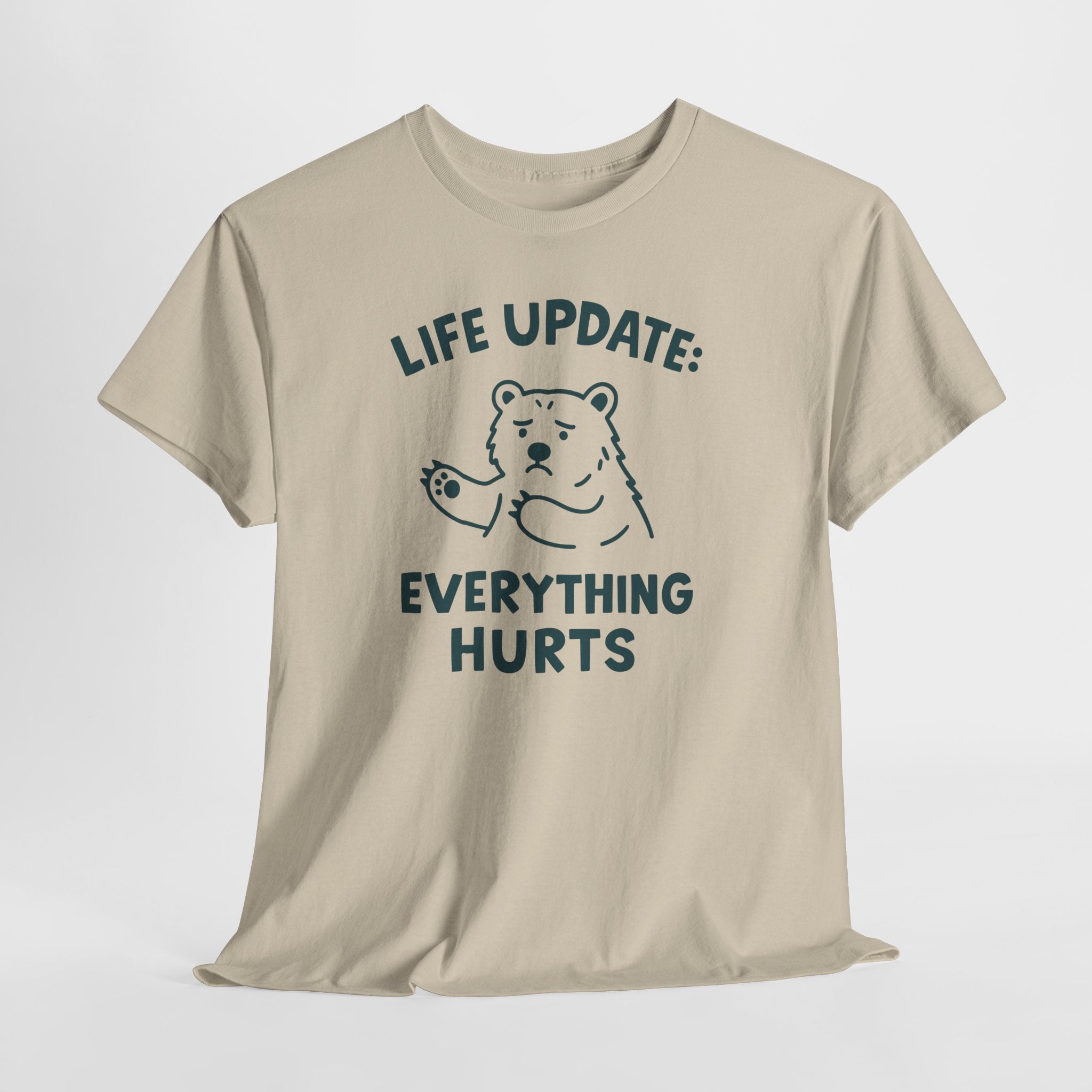 Life Update Everything Hurts T-shirt
